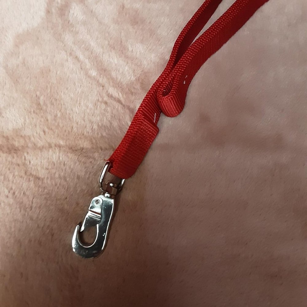 Red 6' Double Layer Dog Lead, medium - large dogs